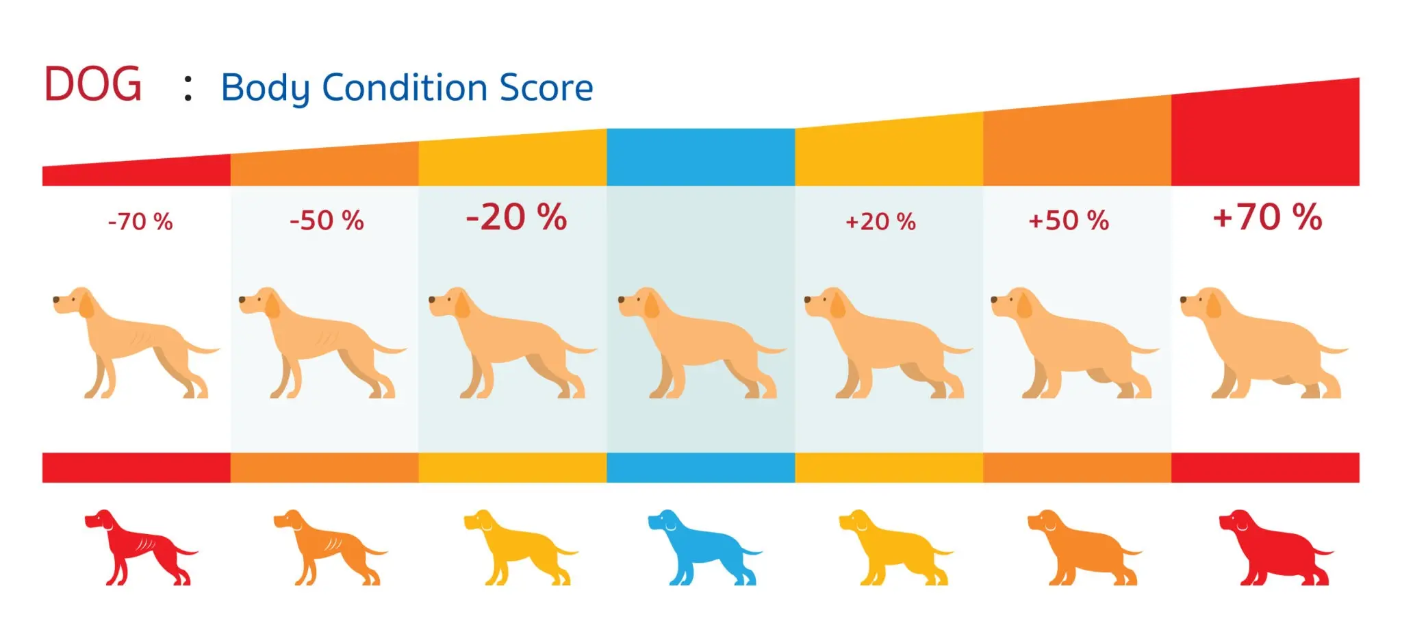 Dog Health Span Extension